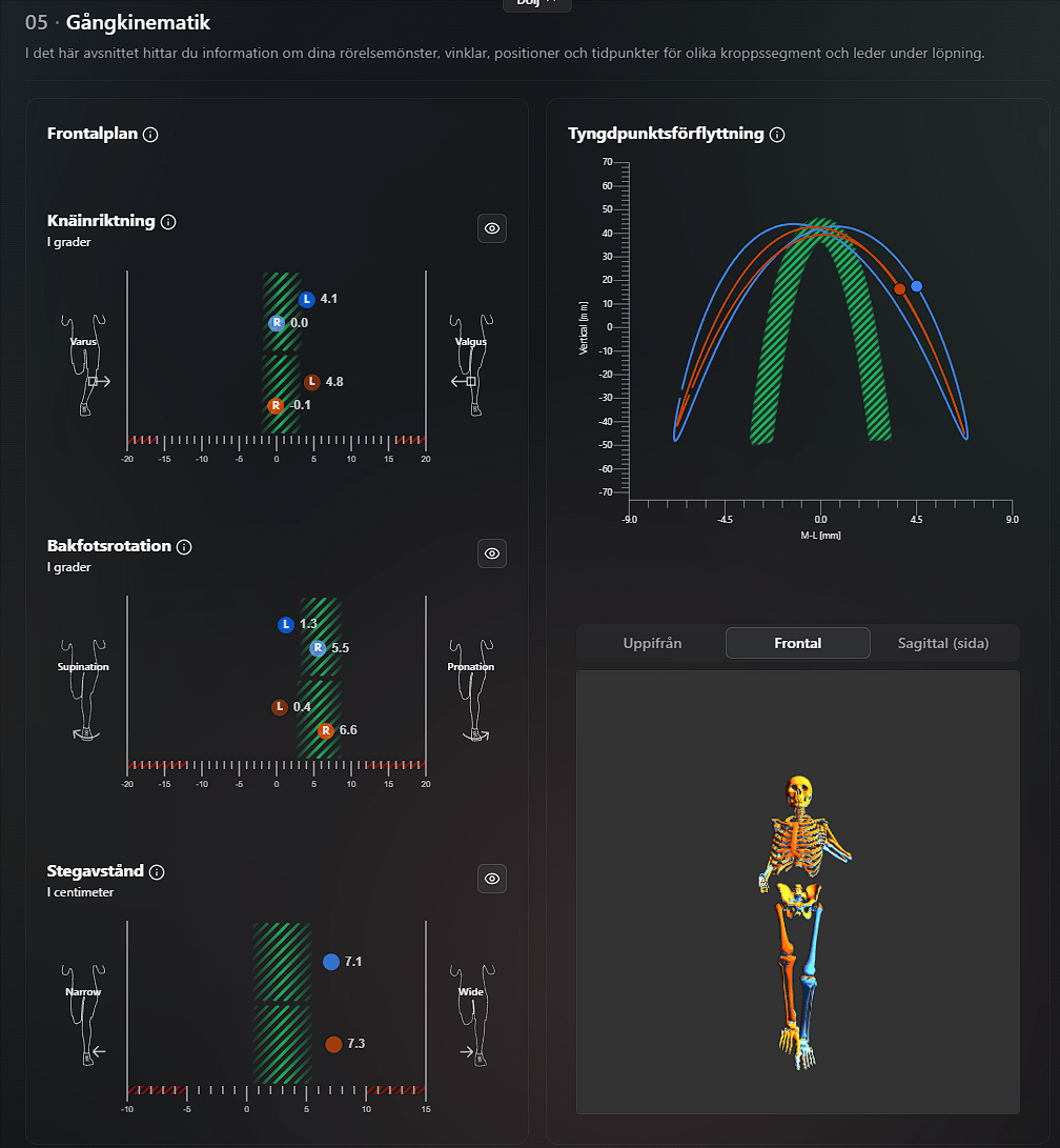 MotionMetrix-rapport: gångkinematik med knäinriktning, bakfotsrotation, stegavstånd, tyngdpunktsförflyttning och 3D-skelett